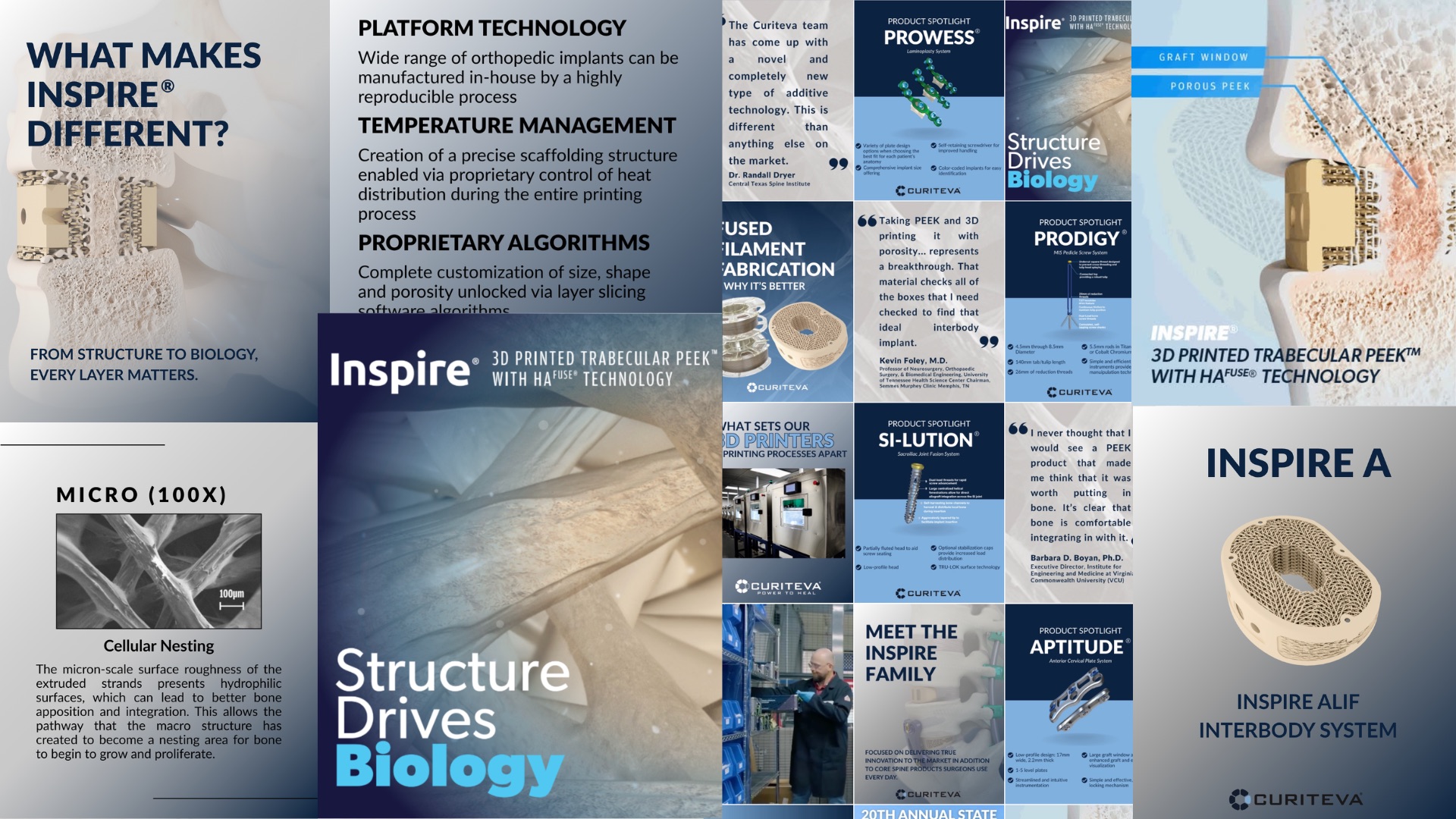 Curiteva project preview